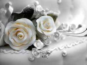 wedding love photos